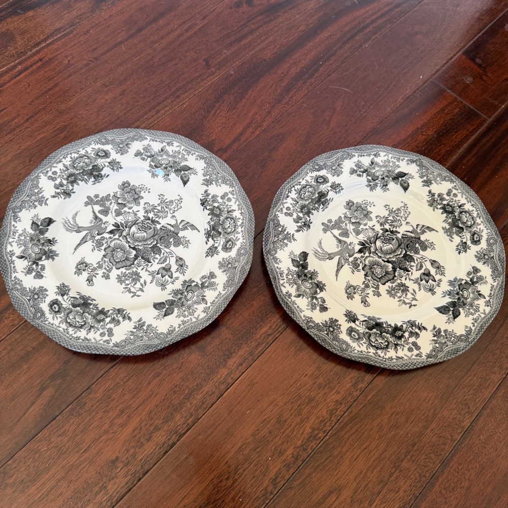 Johnson Bros Asiatic Pheasant Plates Set 2 Black Floral 10" England Cottage